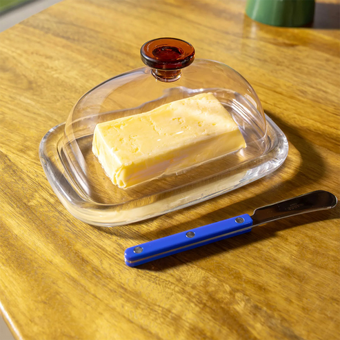 Butter dish with a block of butter and a blue knife on a wooden surface