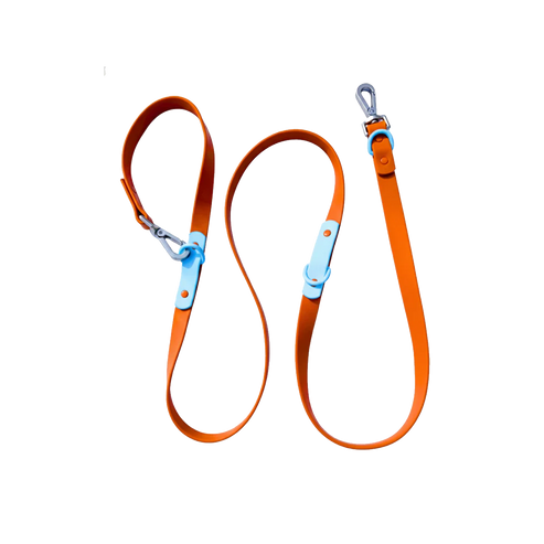 Orange dog leash with blue clips on a white background