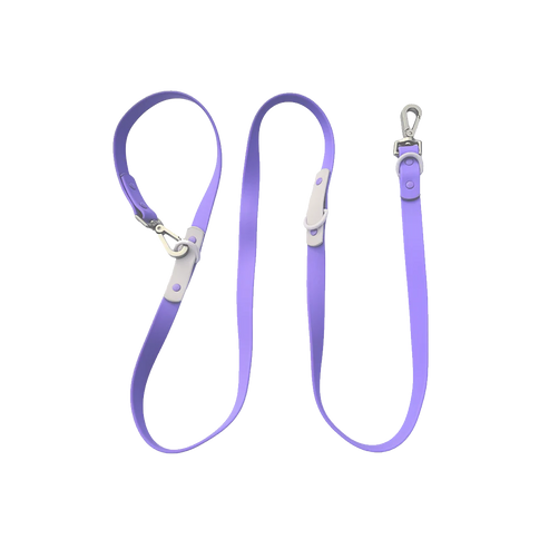 Purple dog leash with silver clips on a white background