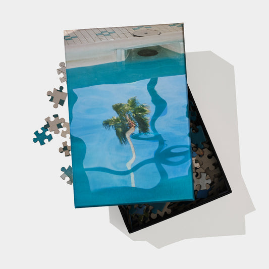 Puzzle in Puzzle