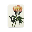 Printed Greeting Cards