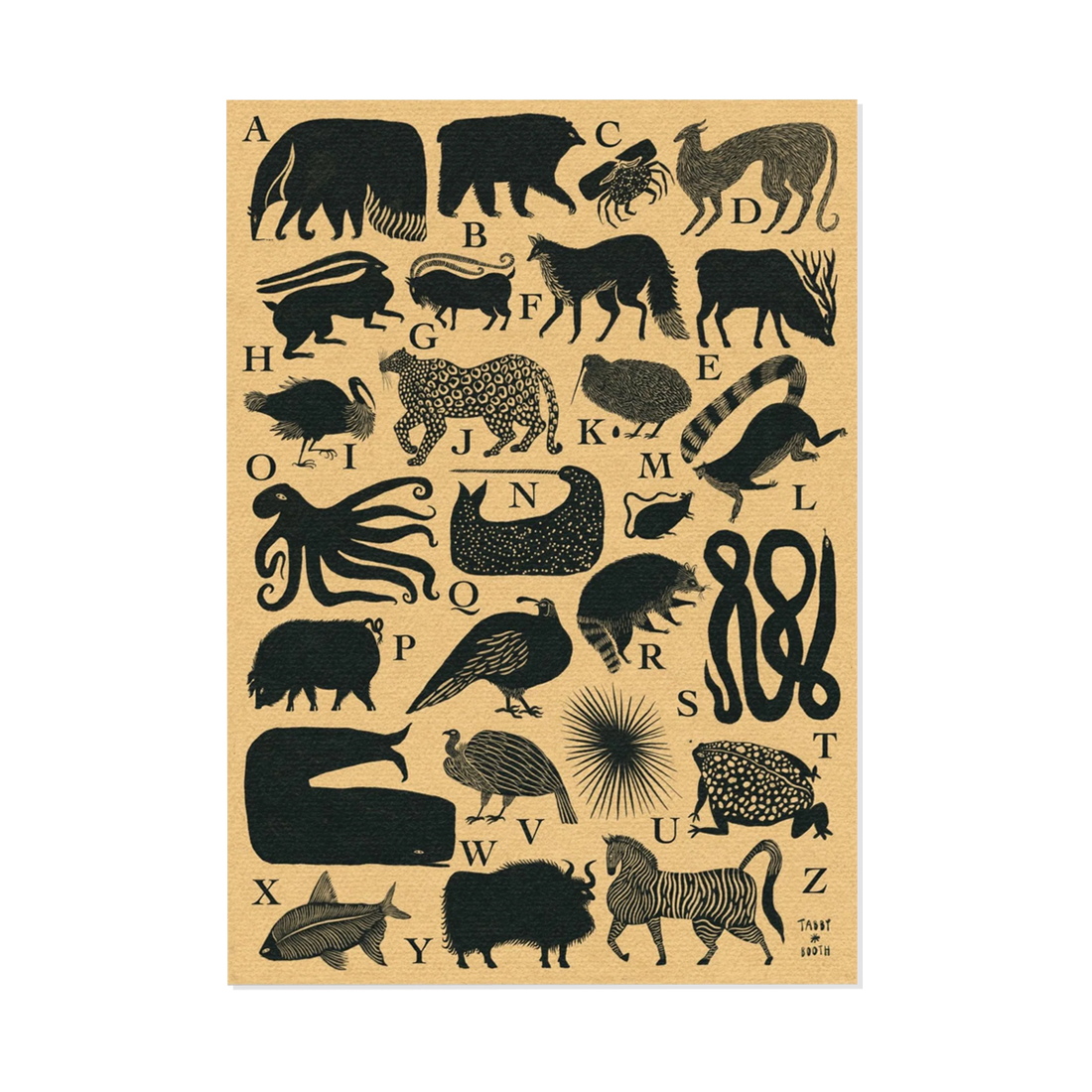 Tabby Booth Fine Art Print Animal Alphabet | Homeware Gifts | Not ...