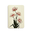 Printed Greeting Cards