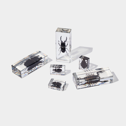 Large Curiosities in Resin