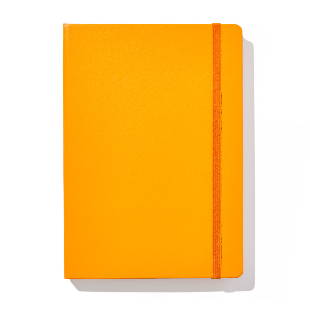 A5 Leuchtturm1917 Notebooks