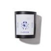 Zodiac Candle