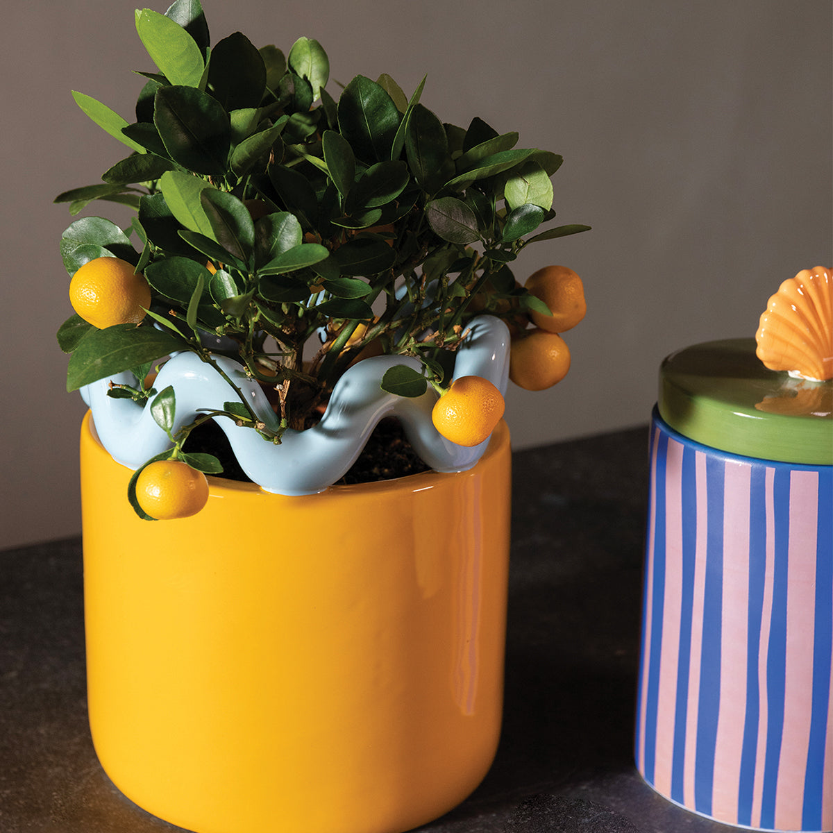 Planter Sway Orange